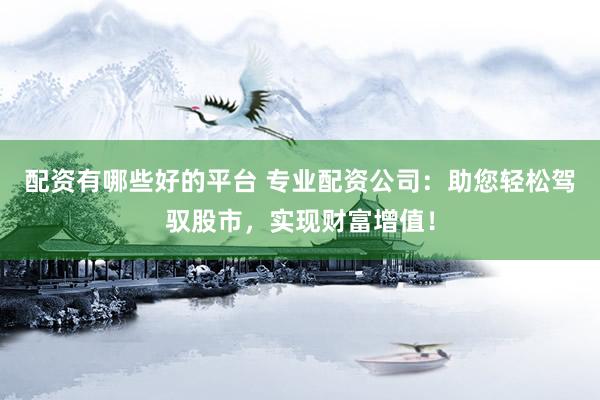 配资有哪些好的平台 专业配资公司：助您轻松驾驭股市，实现财富增值！