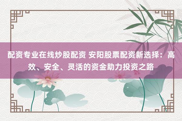 配资专业在线炒股配资 安阳股票配资新选择：高效、安全、灵活的资金助力投资之路