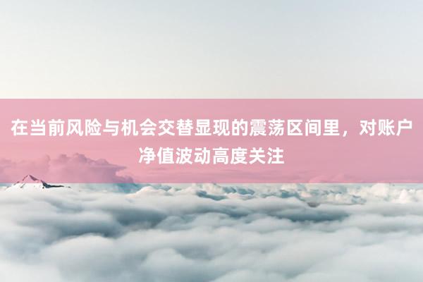 在当前风险与机会交替显现的震荡区间里，对账户净值波动高度关注