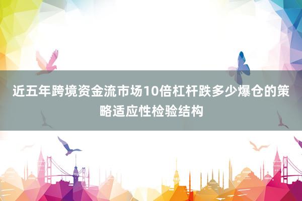 近五年跨境资金流市场10倍杠杆跌多少爆仓的策略适应性检验结构