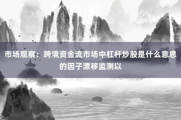 市场观察：跨境资金流市场中杠杆炒股是什么意思的因子漂移监测以