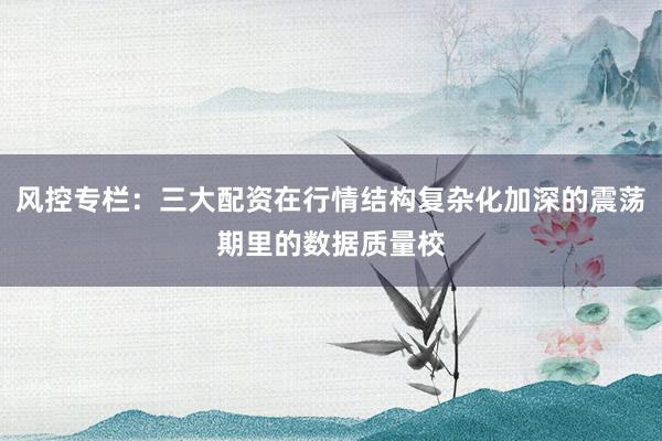 风控专栏：三大配资在行情结构复杂化加深的震荡期里的数据质量校