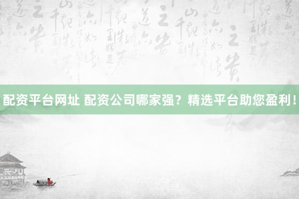 配资平台网址 配资公司哪家强？精选平台助您盈利！