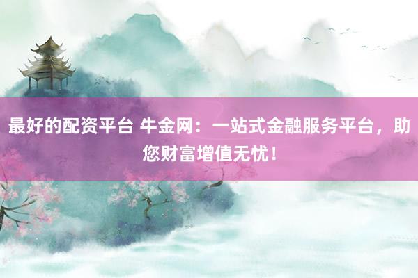 最好的配资平台 牛金网：一站式金融服务平台，助您财富增值无忧！